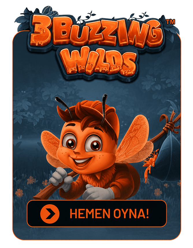 Oyun 16